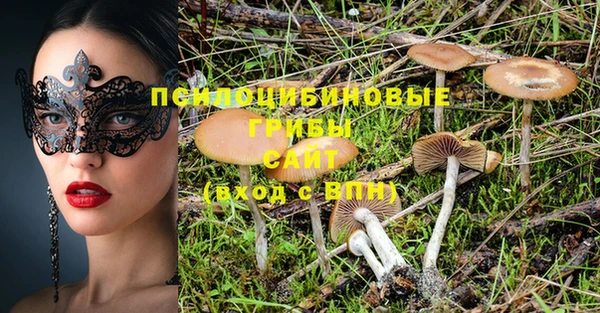 спиды Алексин