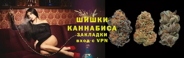 сатива Абинск