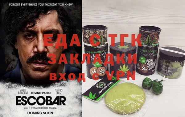 гидра Абаза