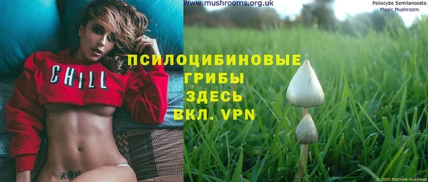 гидра Абаза