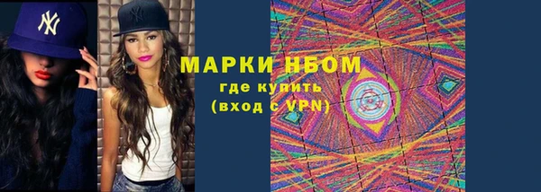 гидра Абаза