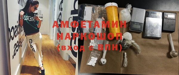 гидра Абаза